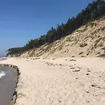 In Ko Czewo Near Wild