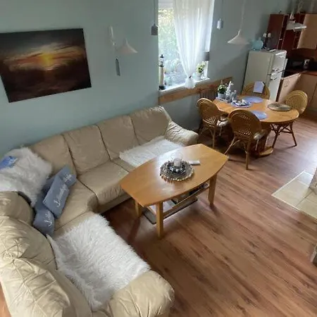 In Ko Czewo Near Wild