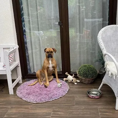 In Ko Czewo Near Wild Casa de Férias