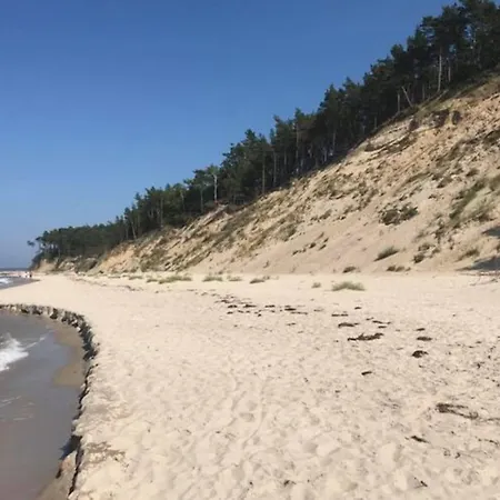 In Ko Czewo Near Wild