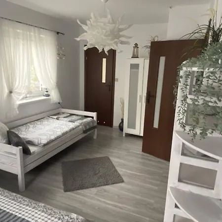 In Ko Czewo Near Wild