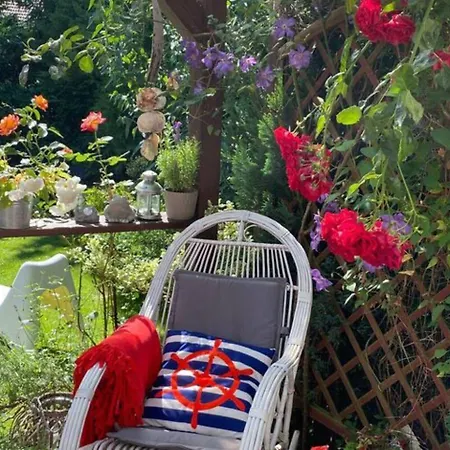 In Ko Czewo Near Wild