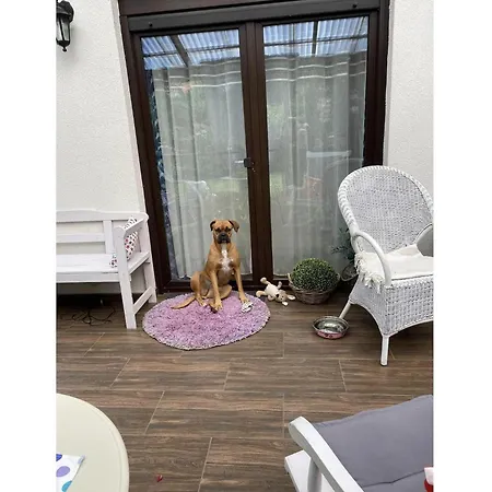 In Ko Czewo Near Wild * Kołczewo