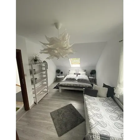 In Ko Czewo Near Wild *