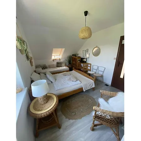 In Ko Czewo Near Wild