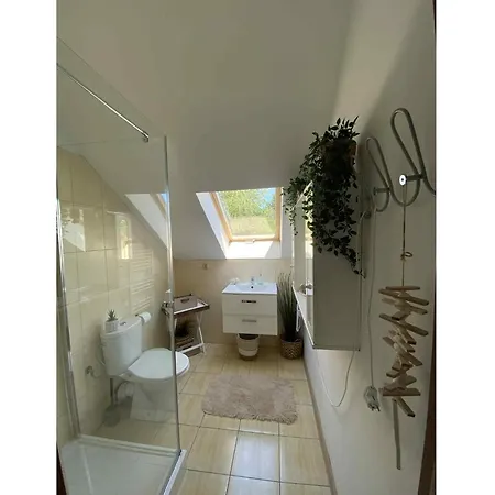 In Ko Czewo Near Wild Kołczewo