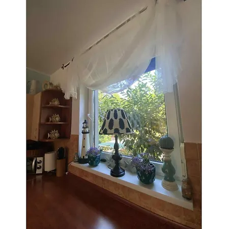 In Ko Czewo Near Wild * Kołczewo