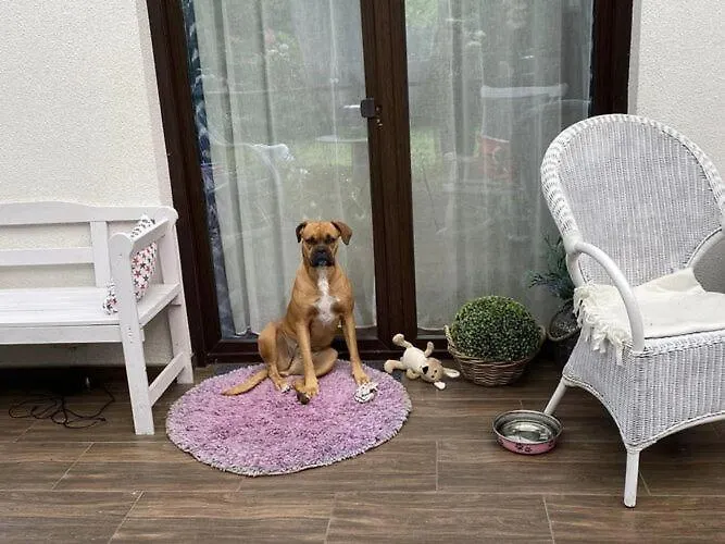 In Ko Czewo Near Wild Сasa de vacaciones