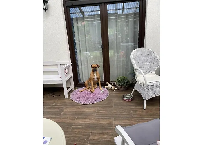 In Ko Czewo Near Wild * Kołczewo