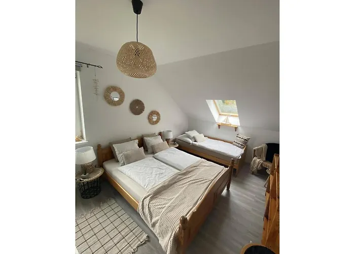 In Ko Czewo Near Wild Kołczewo